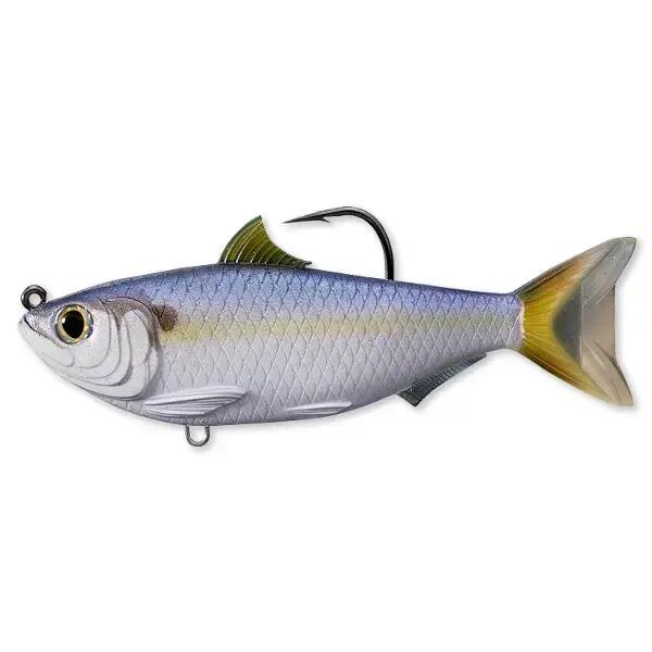 LIVE TARGET picture