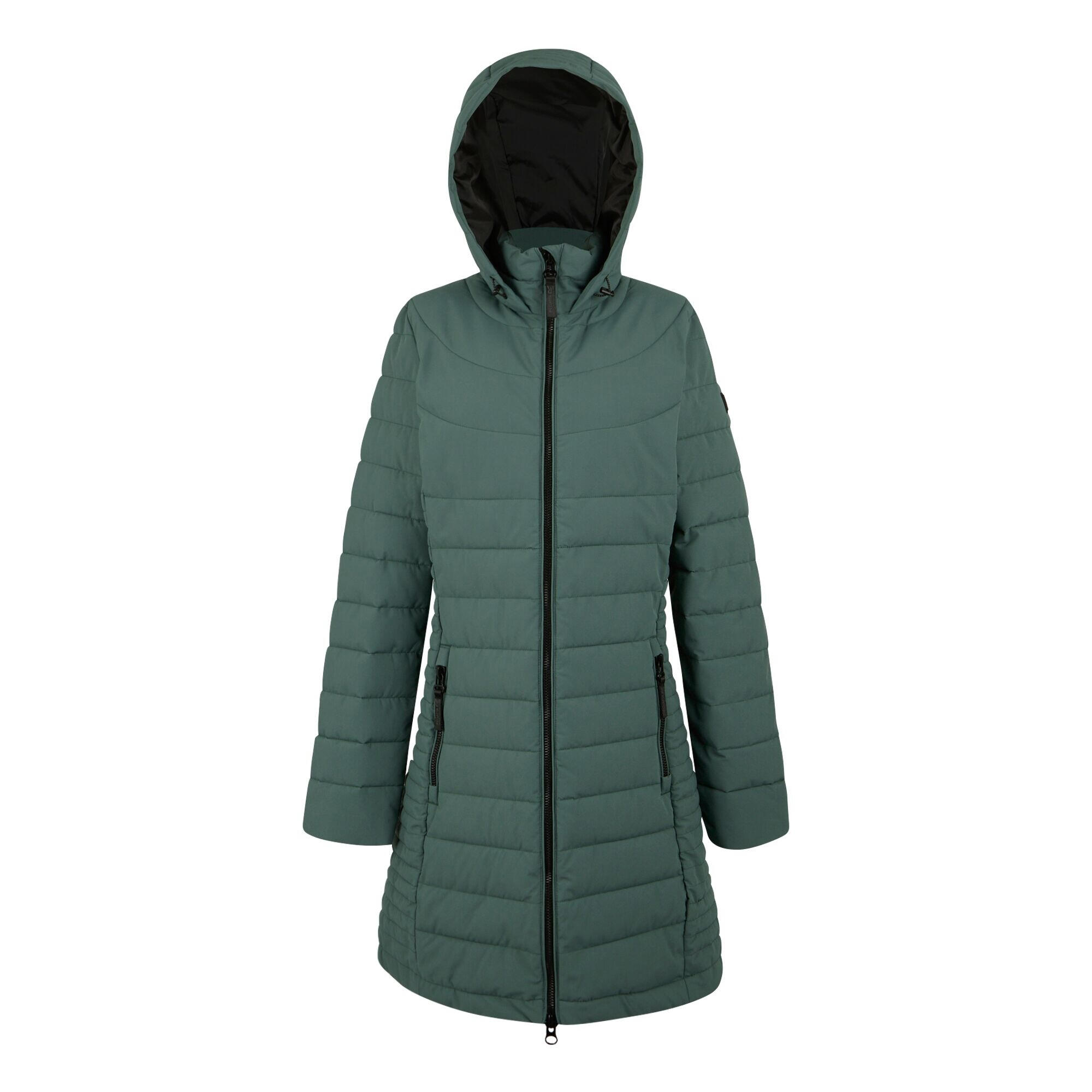 REGATTA Womens/Ladies Andria Padded Jacket (Spruce Green)