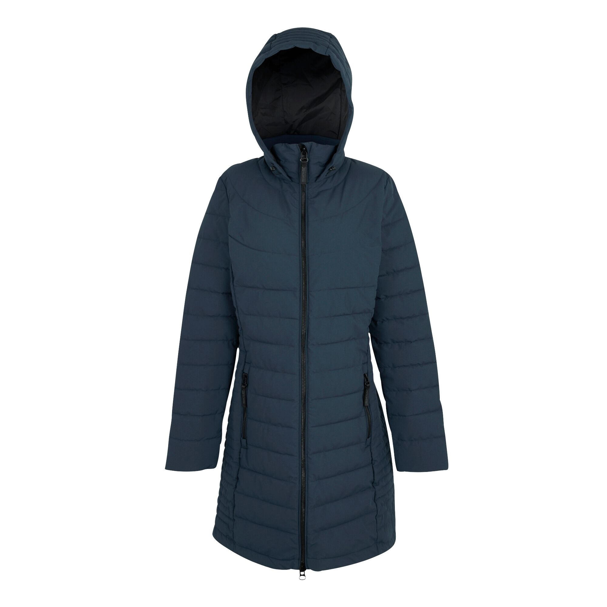 REGATTA Womens/Ladies Andria Padded Jacket (Navy)