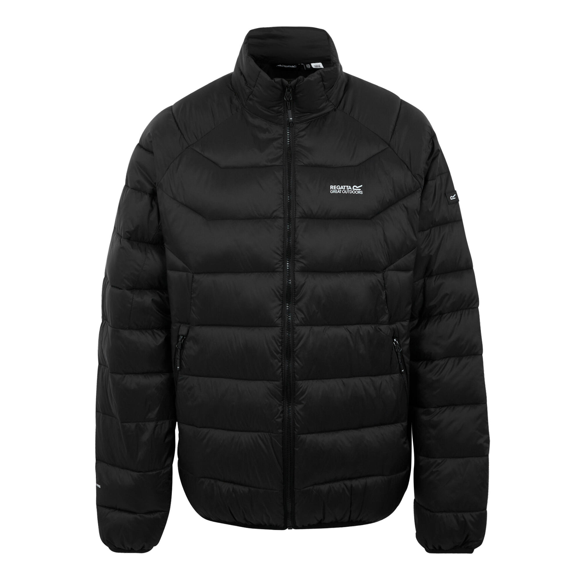 REGATTA Mens Dalent Padded Jacket (Black)