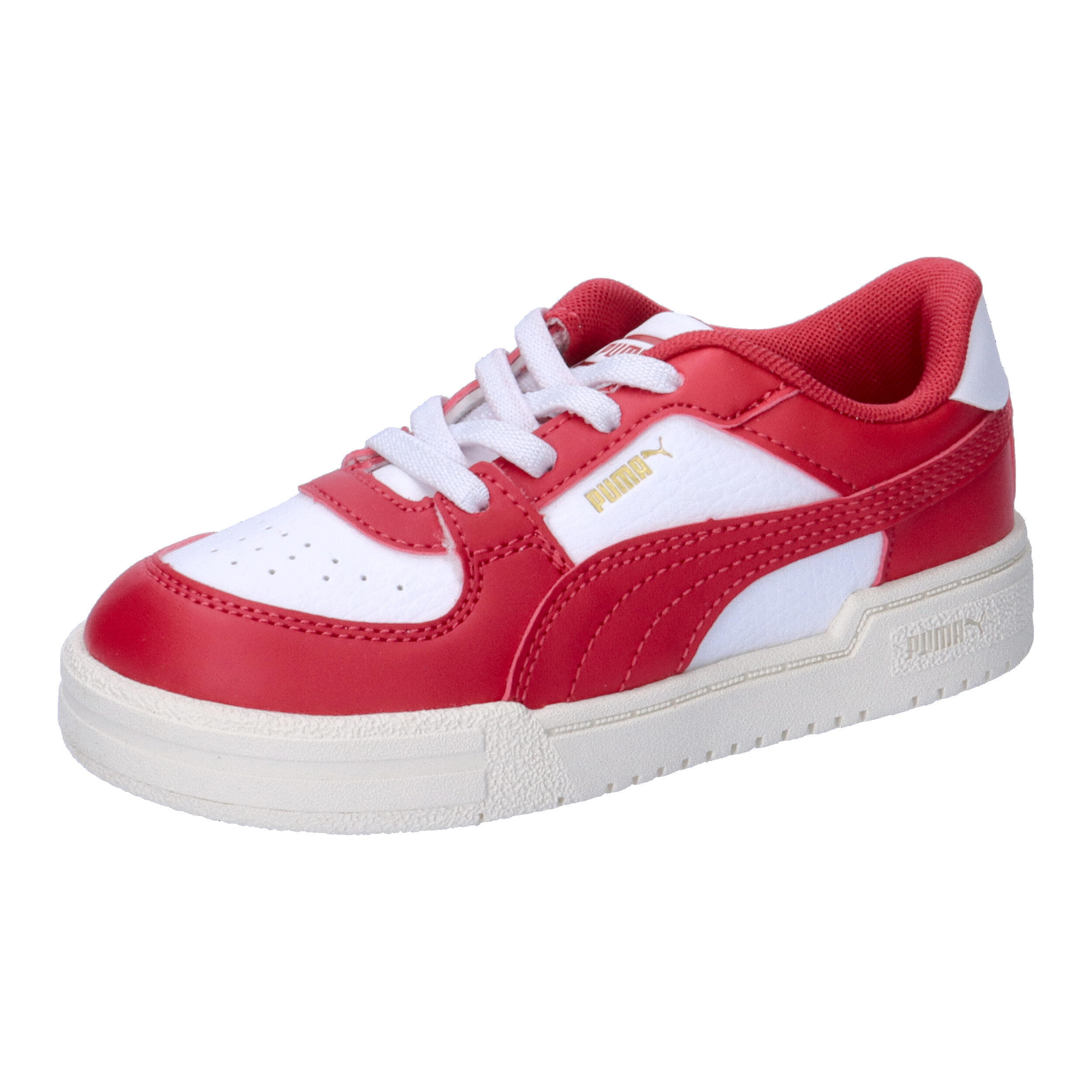 PUMA picture