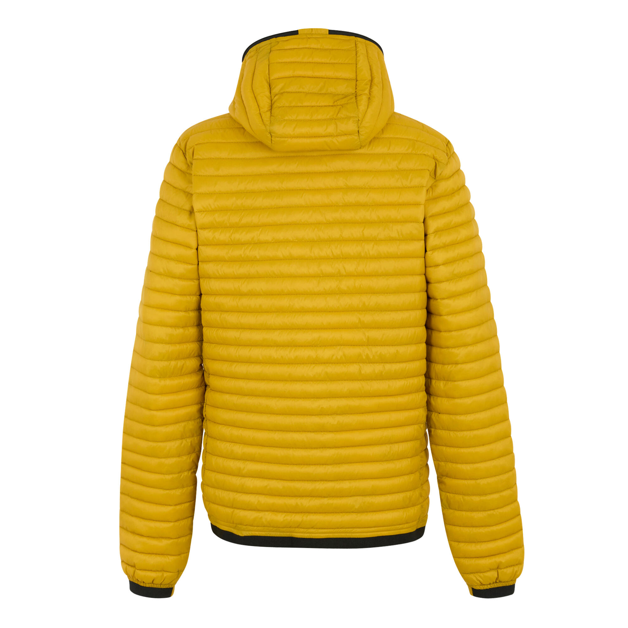 Veste Matelassée RIGAIN Homme (Jaune Or) 2/5