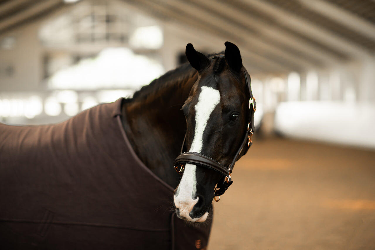 Licol Anatomique Moonless Night - Equestrian Stockholm 1/5