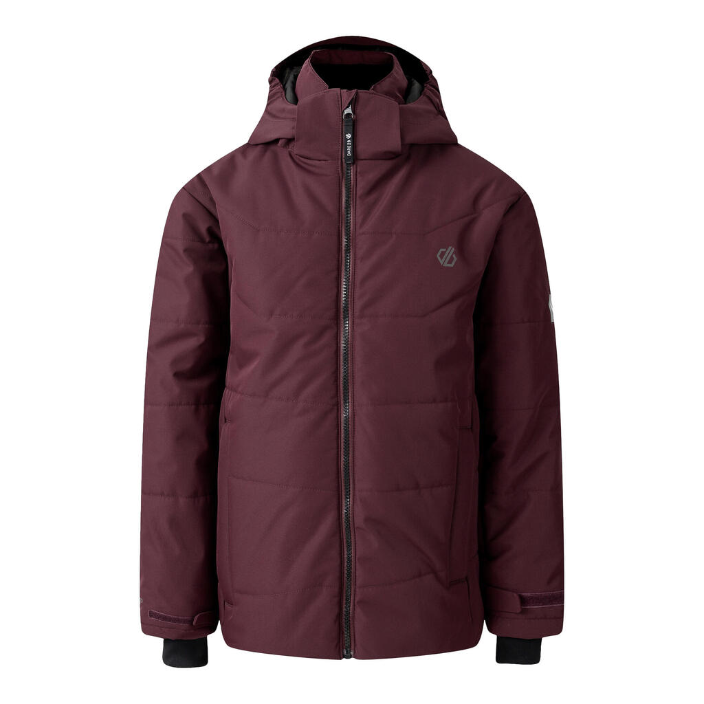 Childrens/Kids Explore Ski Jacket (Fig)