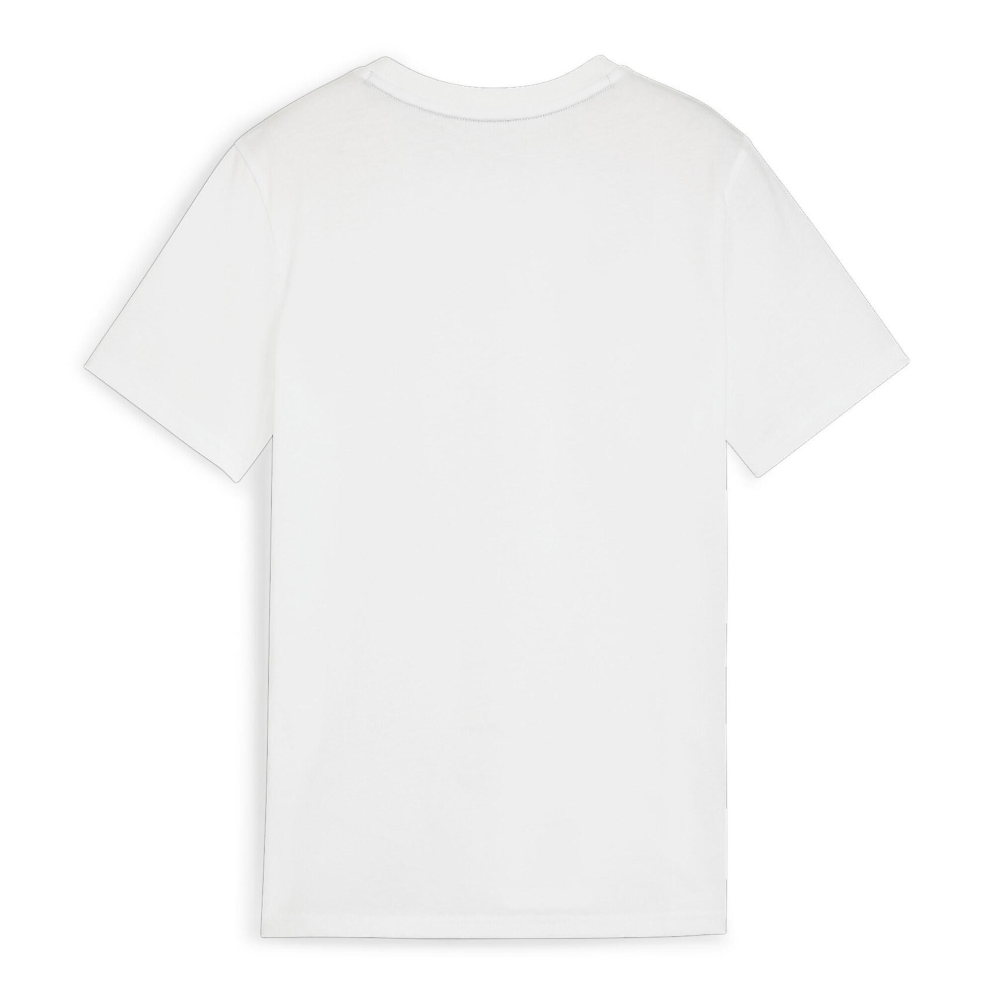 Camiseta infantil Puma teamGOAL Casuals 2/3