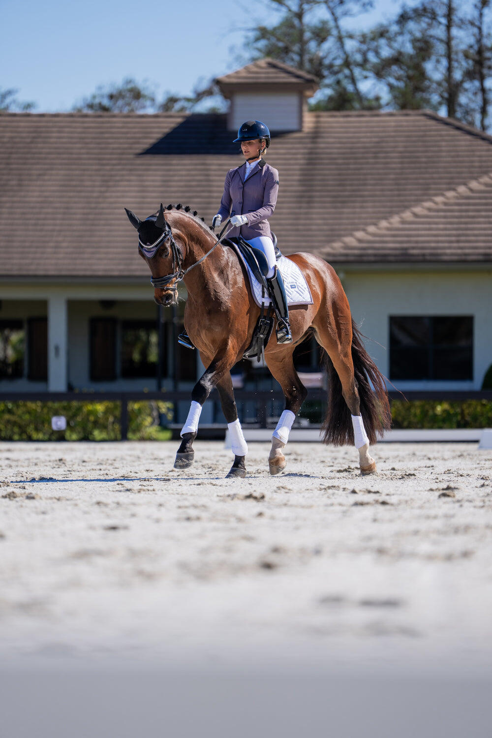 EQUESTRIAN STOCKHOLM picture