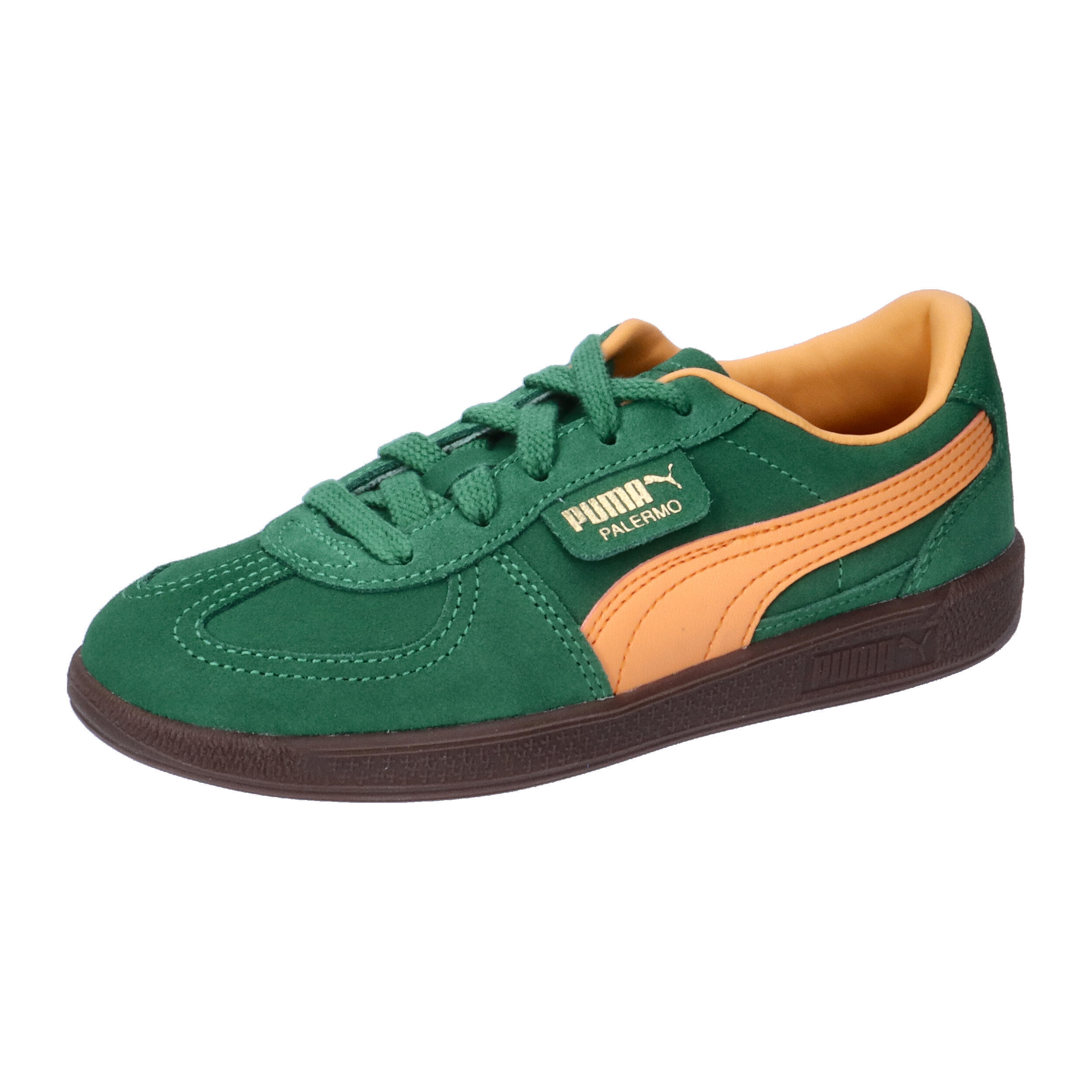 PUMA picture