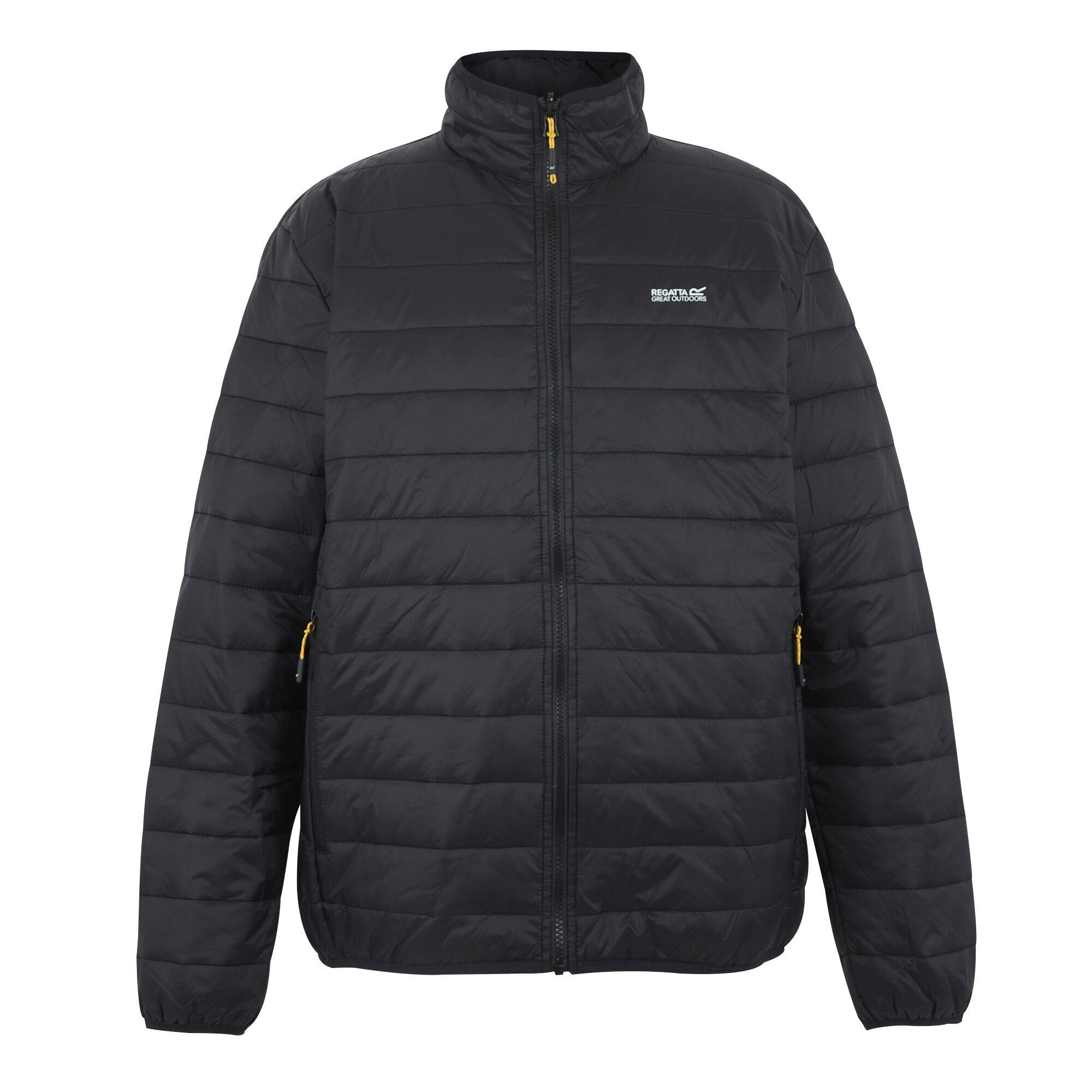 Veste 3en1 WENTWOOD Homme (Gris Cendre) 3/5