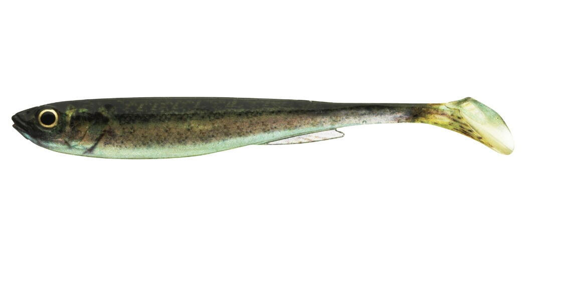 SHAD DAIWA PROREX REAL SLIM LIVE 7,5CM/BABY ZANDER/4BUC/PL