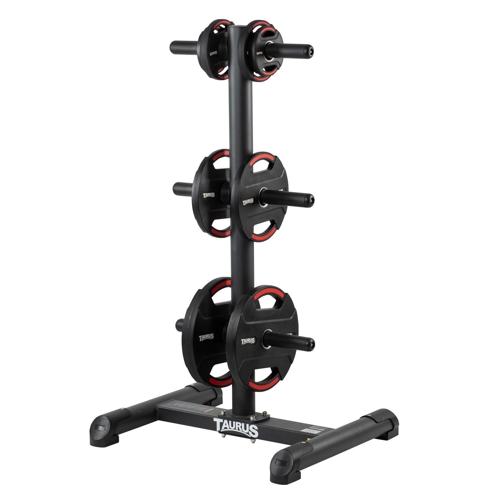 Elite Weight Plate Stand 2/4