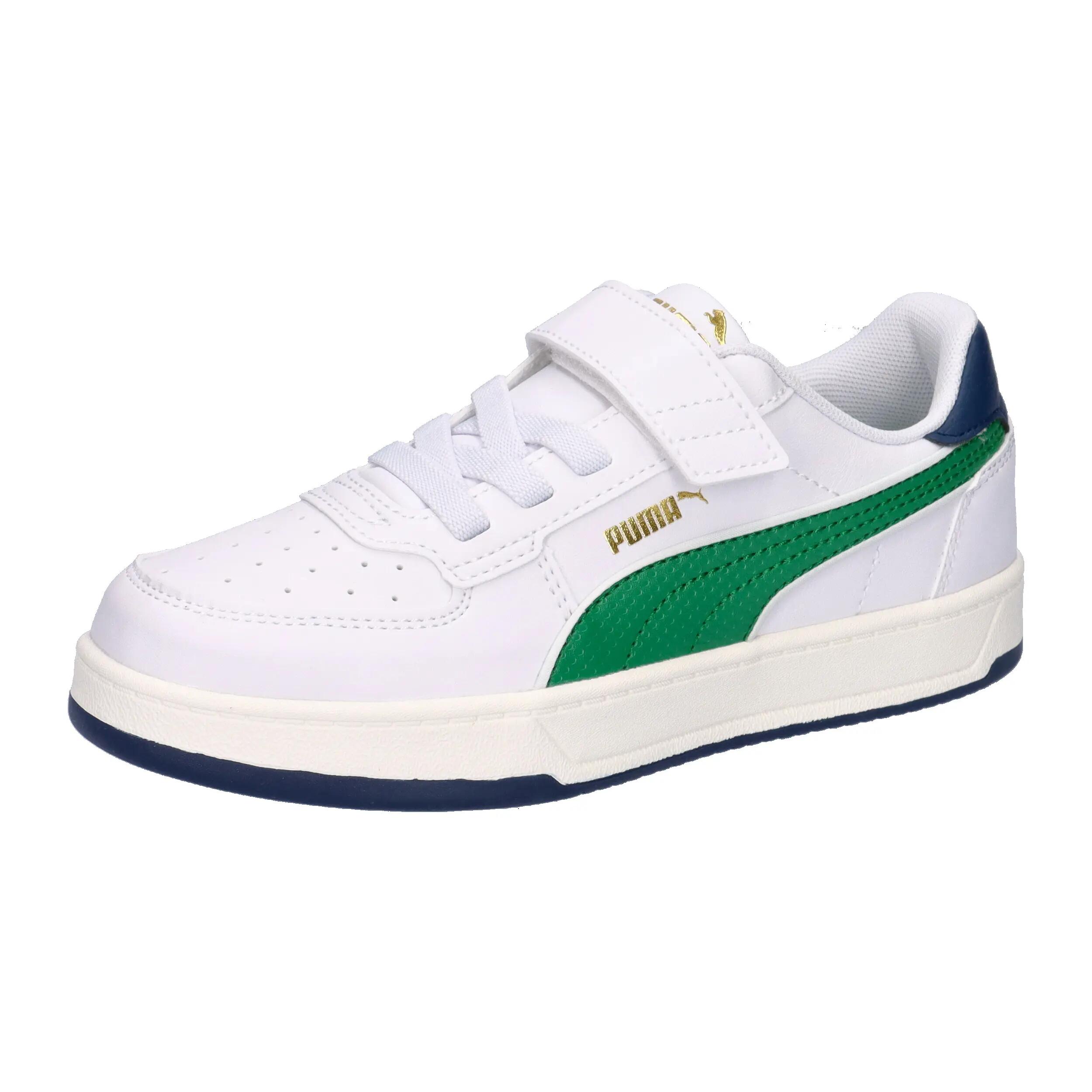 PUMA picture