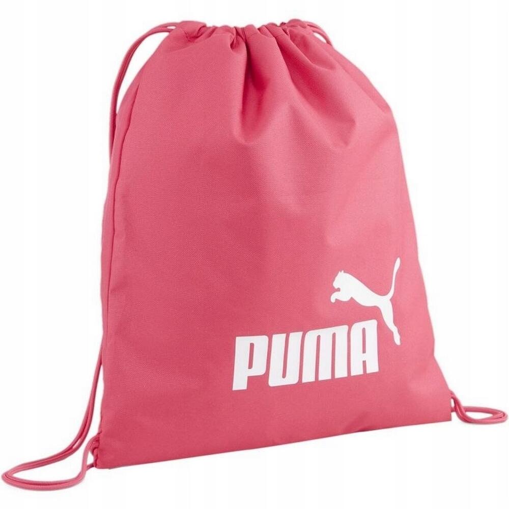PUMA picture