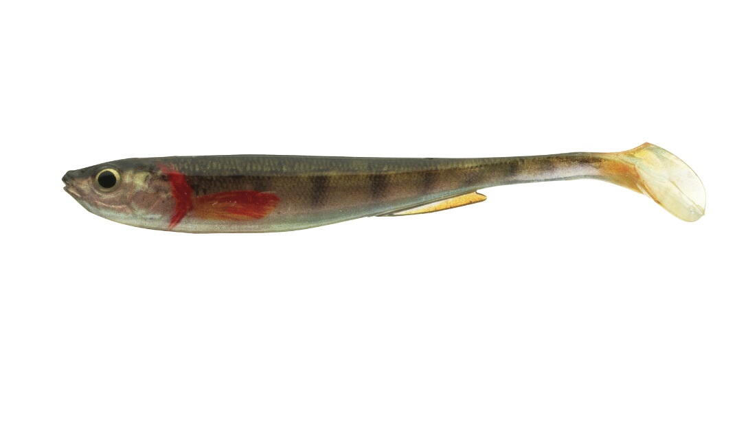 SHAD DAIWA PROREX REAL SLIM LIVE 7,5CM/GOLD PERCH/4BUC/PL