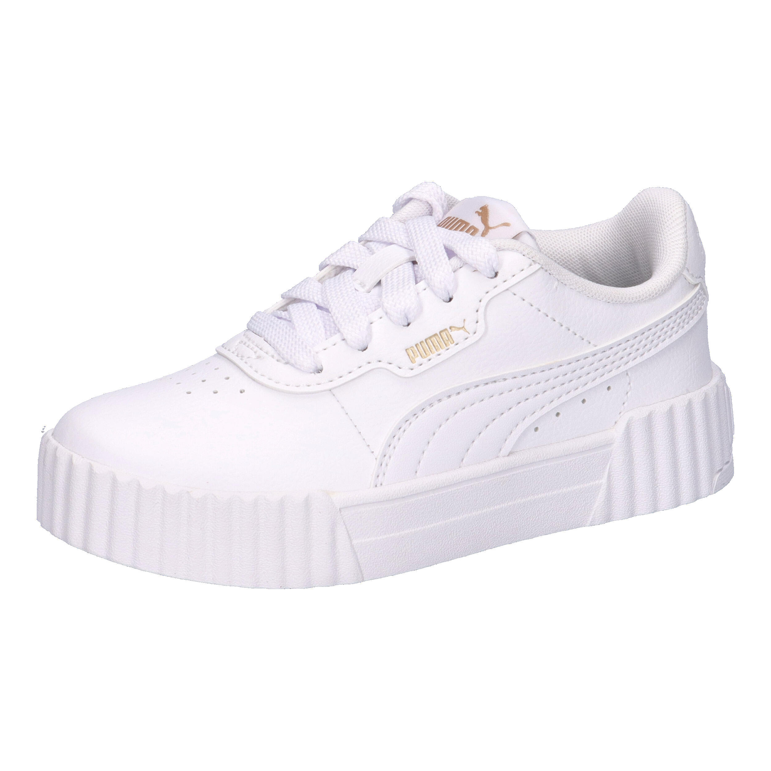 PUMA picture