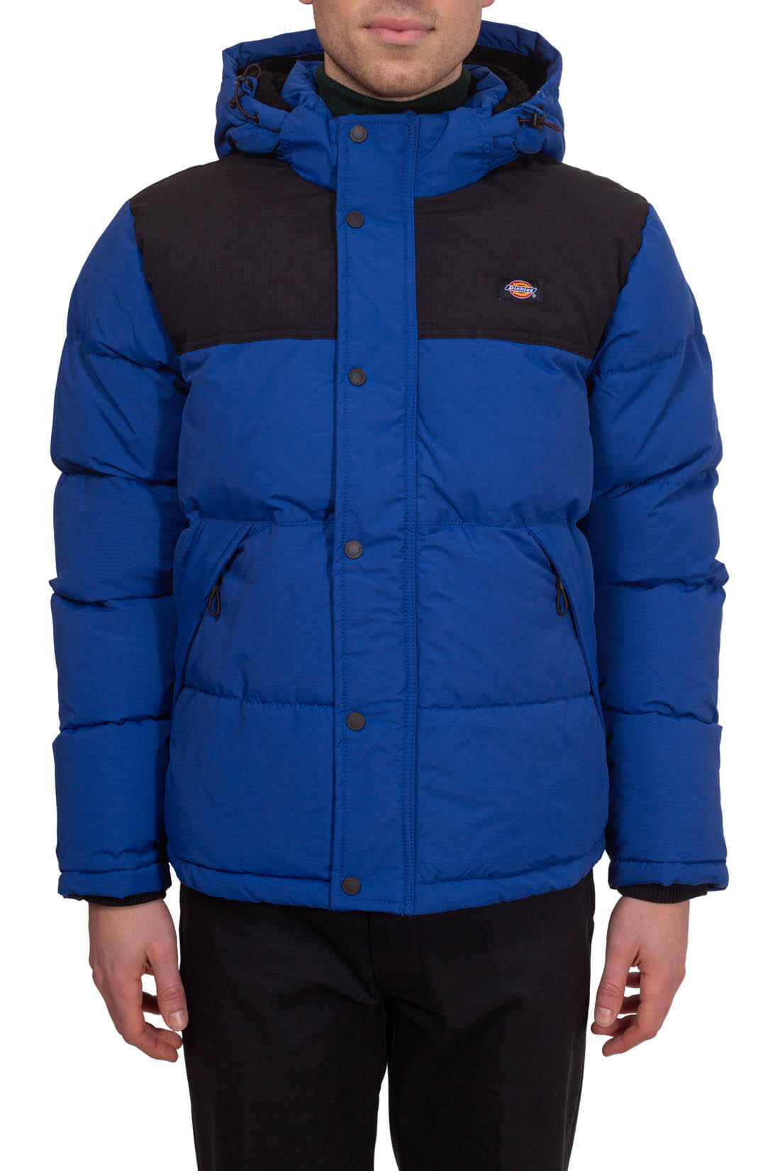 Manteau DICKIES Glacier View 2/6