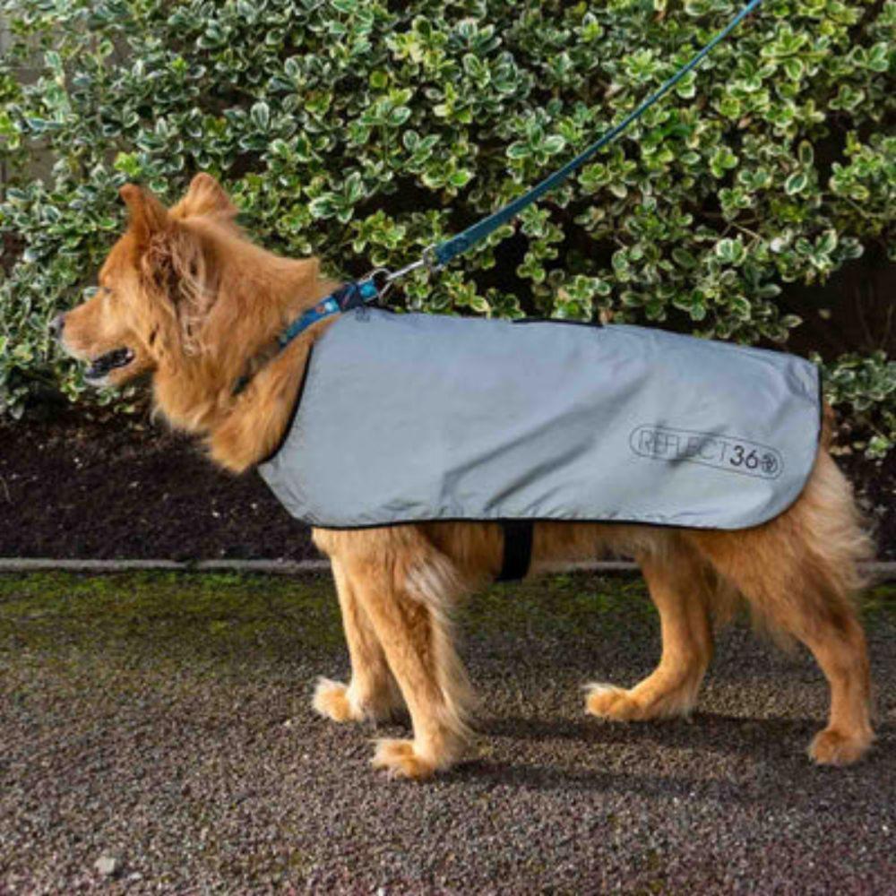 COVER DOG L Veste pour chien avec doublure imperméable - L 3/6