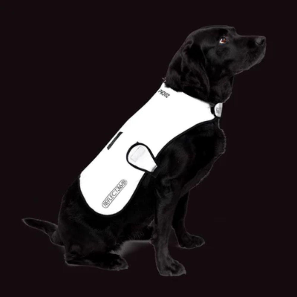 COVER DOG L Veste pour chien avec doublure imperméable - L 2/6