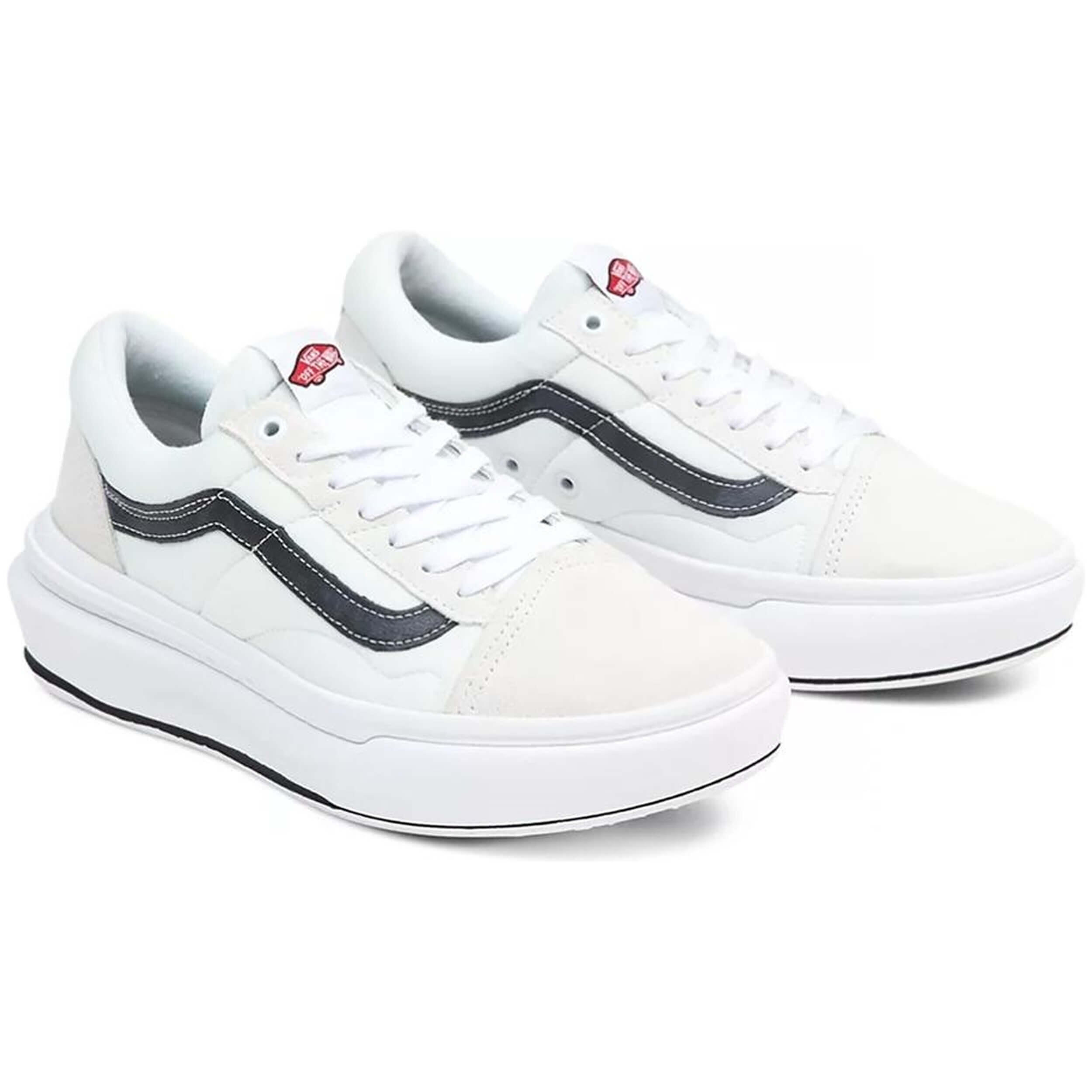 VANS picture