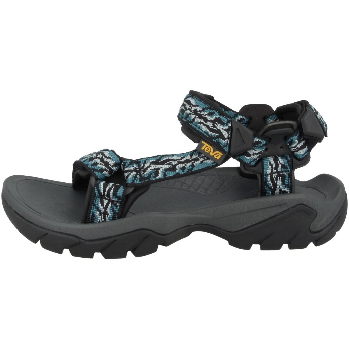 TEVA picture