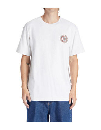 T-shirt DC SHOES Old Head