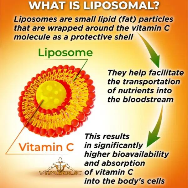 Liposzómás C-vitamin 2/3