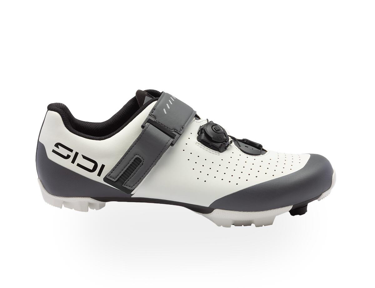 SIDI picture