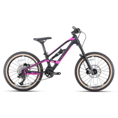 Tiny Rock Master S 20 Zoll Enduro Bike