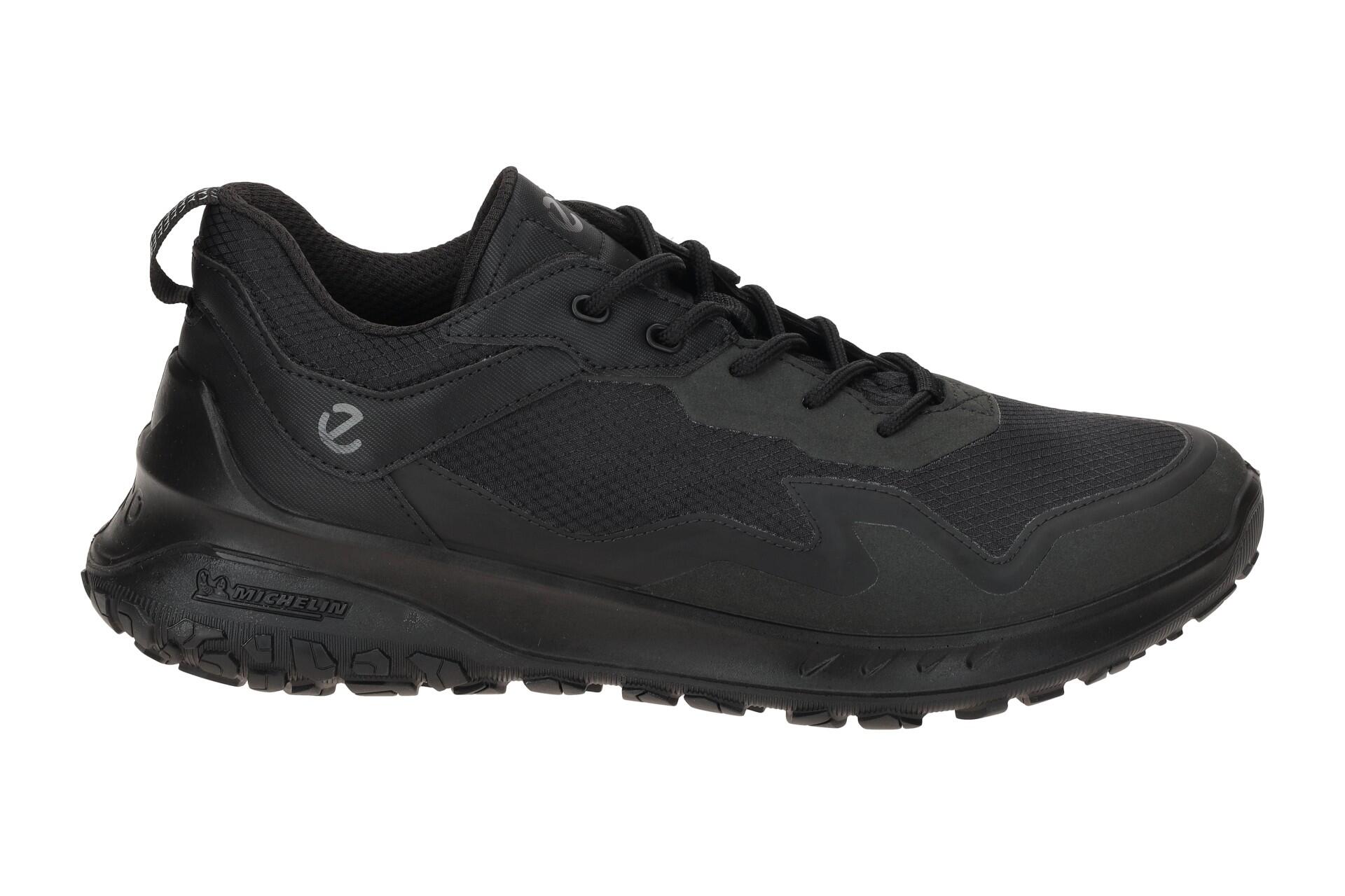 Schoenen universeel voor heren Ecco Irving 2/7