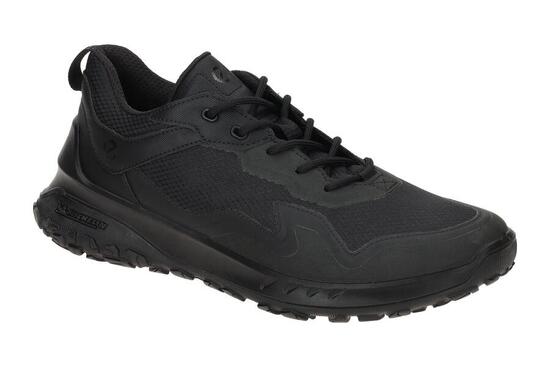 Buty do chodzenia męskie Ecco Irving