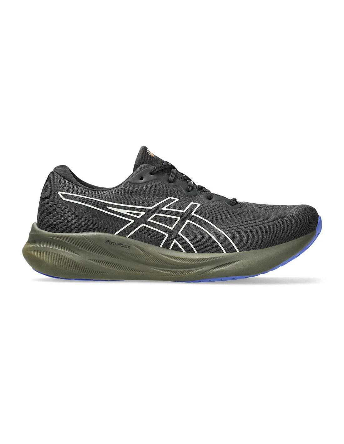 ASICS picture