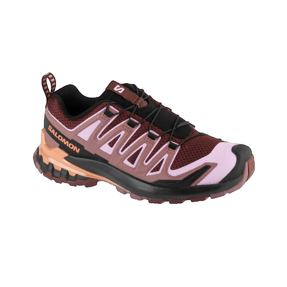 SALOMON picture