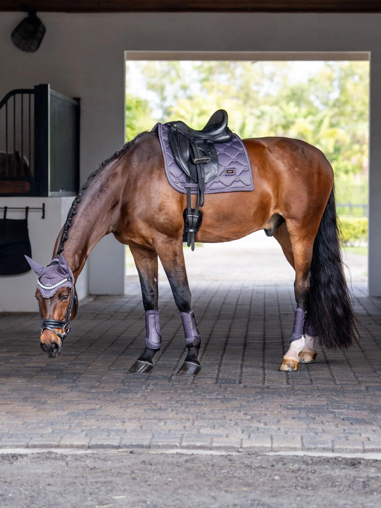 EQUESTRIAN STOCKHOLM picture