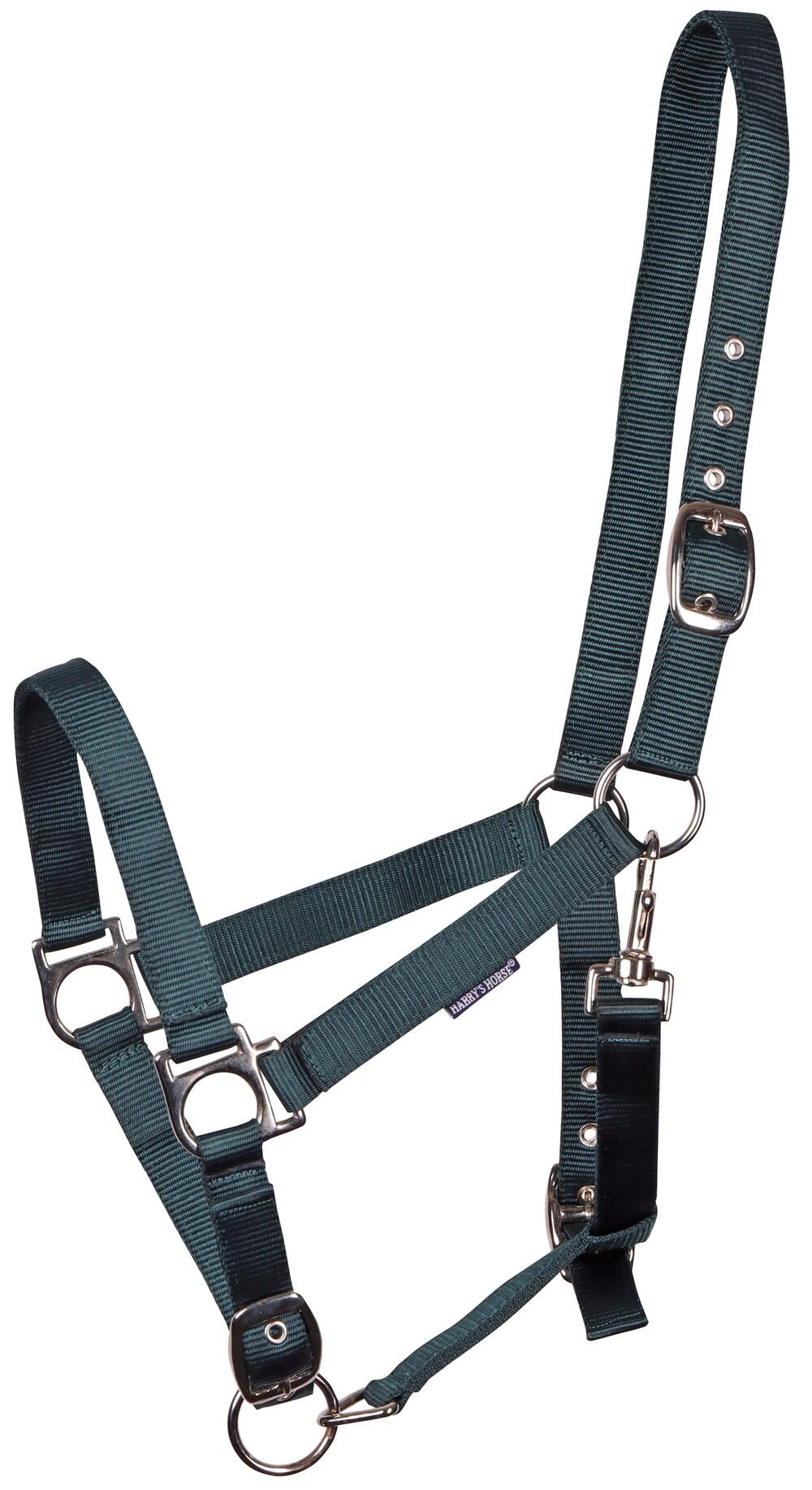 Harrys Horse Nylonhalfter 4/4