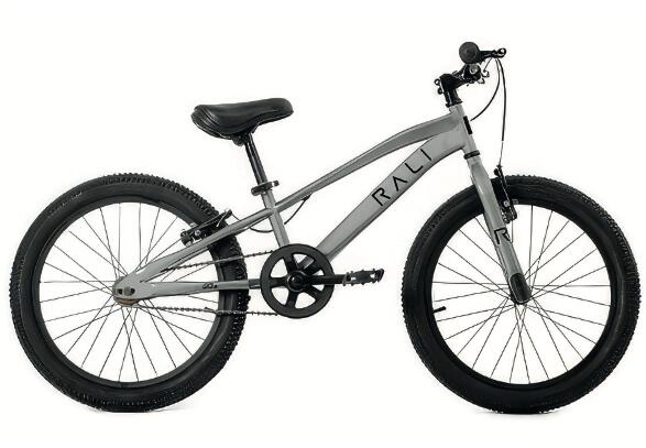 RALI Bicicleta Infantil PRO2 20 polegadas RALI cor cinza