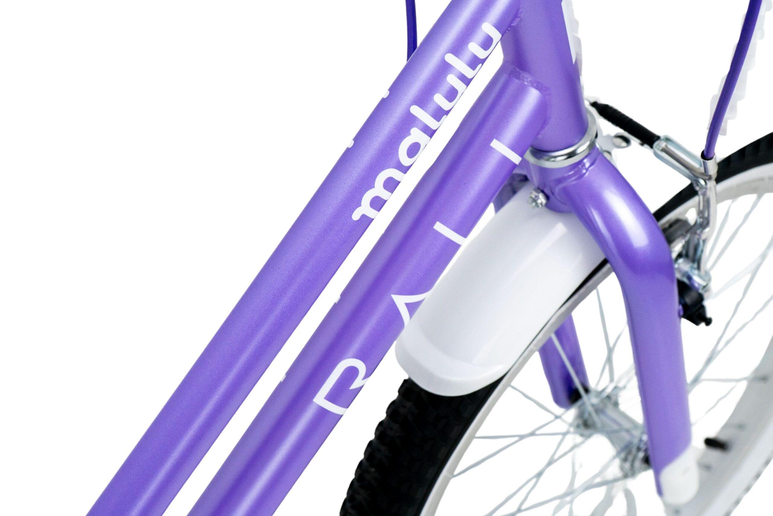 Bicicleta infantil MALULU 20 pulgadas RALI color lilás 2/5