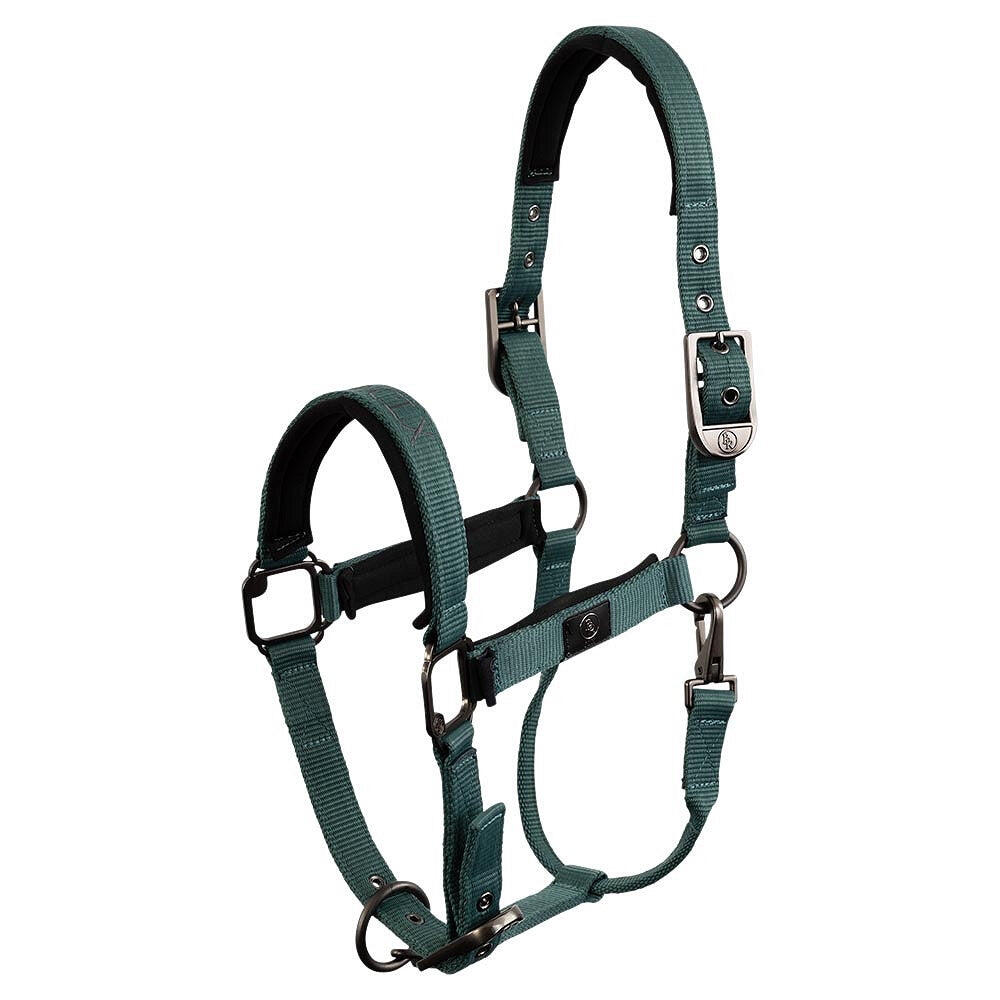 Halfter für Ponys BR Equitation CLX 4/6