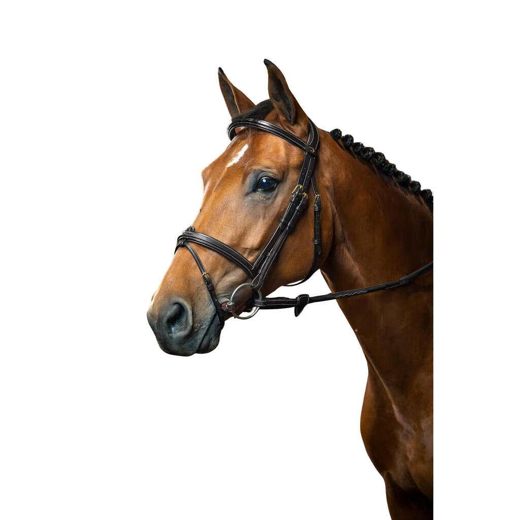 Combined riding bridle and noseband Dy'on