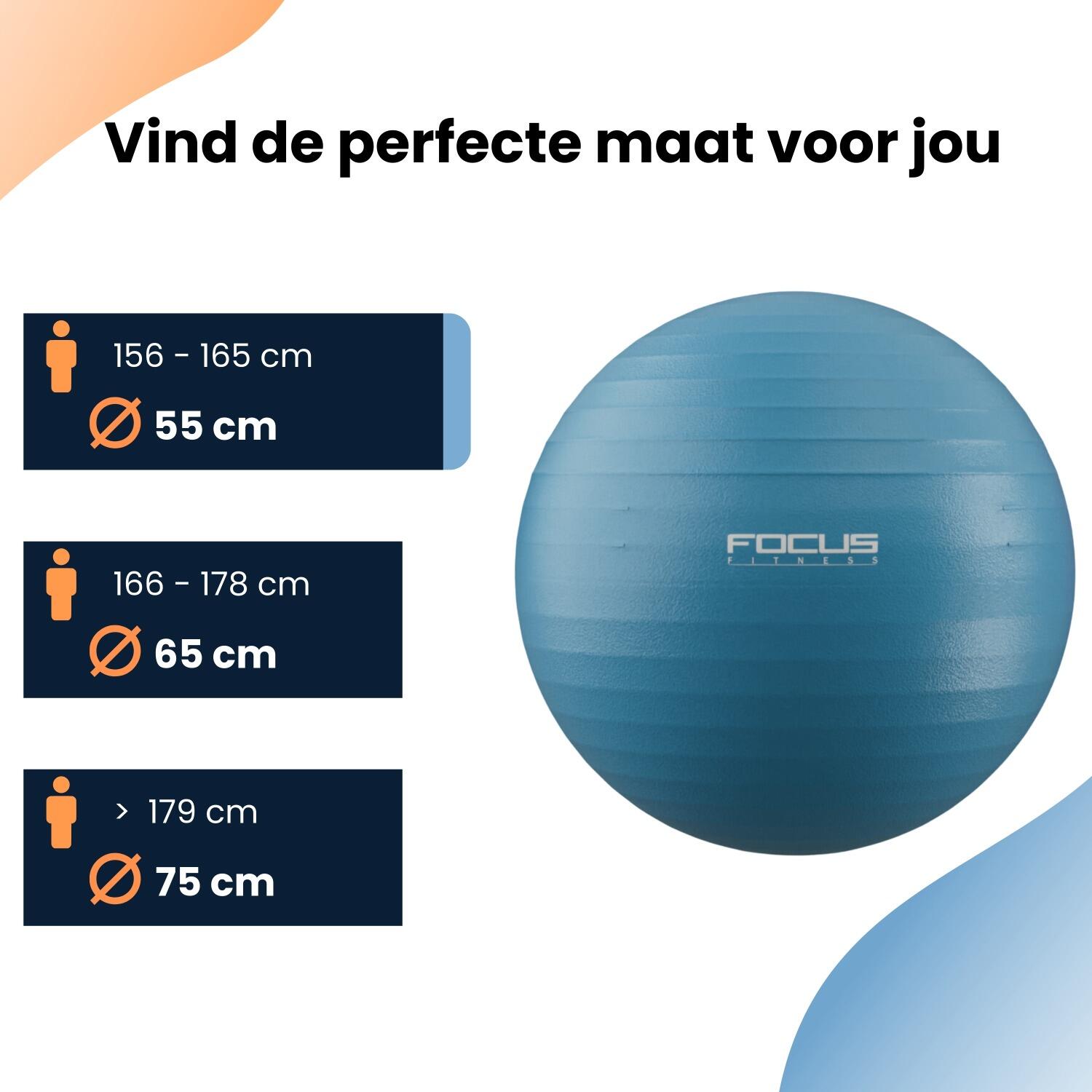 Ballon de gymnastique - 55 cm 4/5
