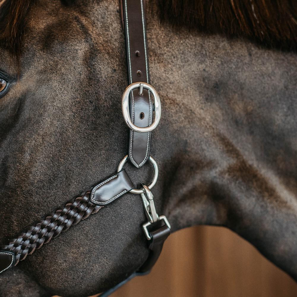 Cabestro de cuero trenzado para caballo Dy'on 4/5