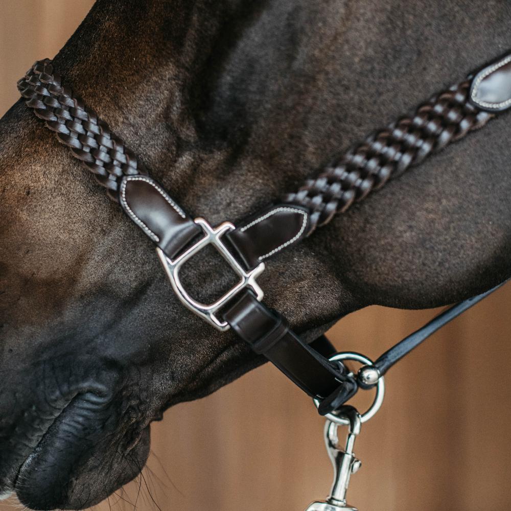 Cabestro de cuero trenzado para caballo Dy'on 3/5