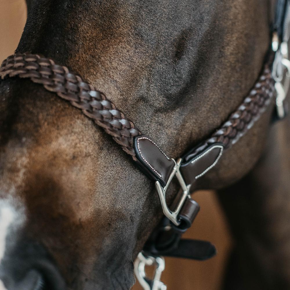 Cabestro de cuero trenzado para caballo Dy'on 2/3