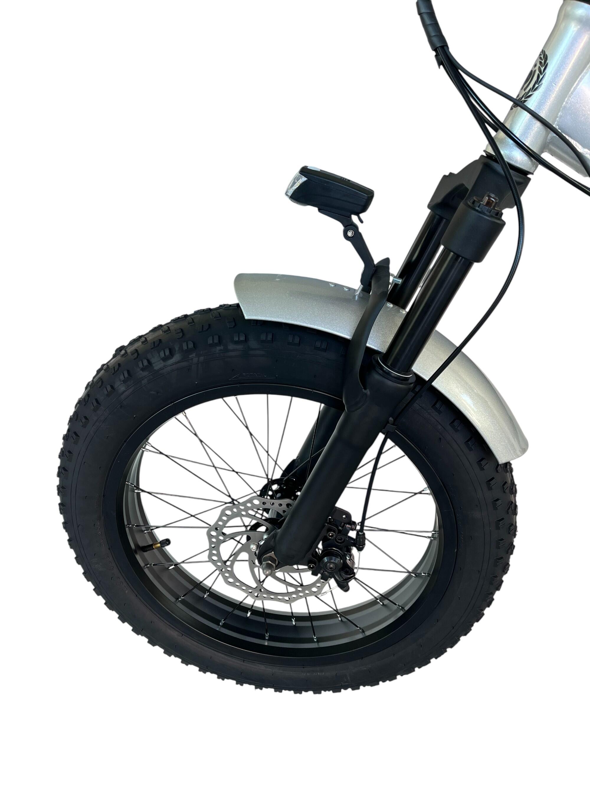 Fat Bike élec. pliable, suspendu, 250W 36V 10Ah, assistance au pédalage 5/7