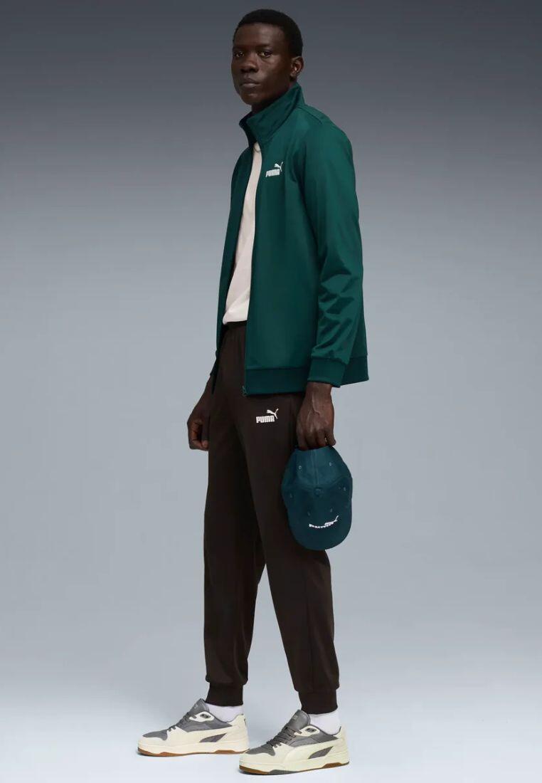 PUMA picture