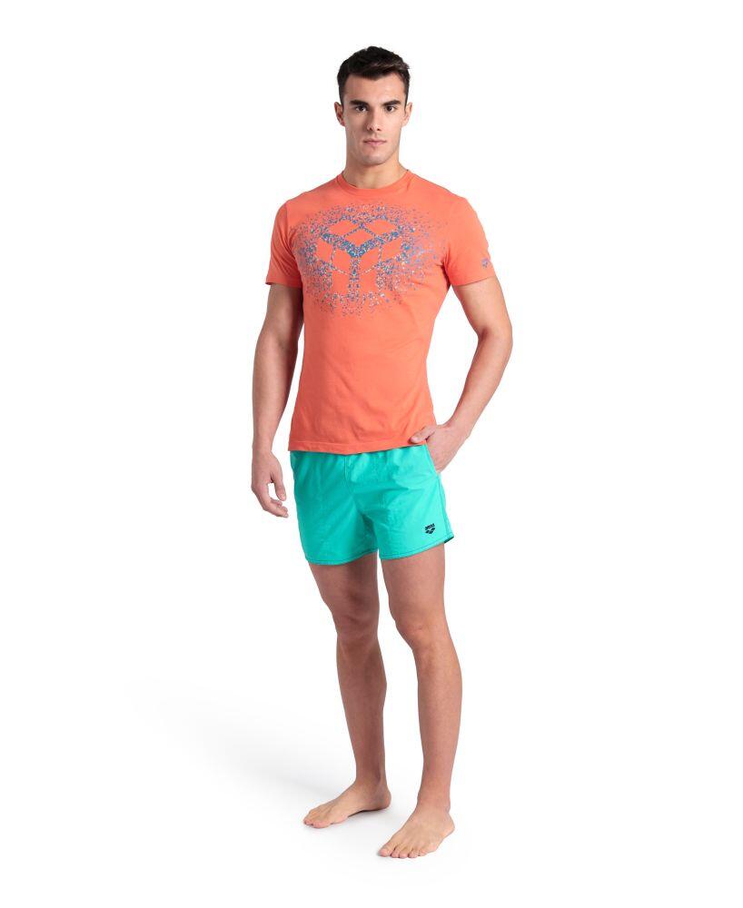 Koszulka męska T-shirt bawełniany sportowy na trening Arena Solid 3/5