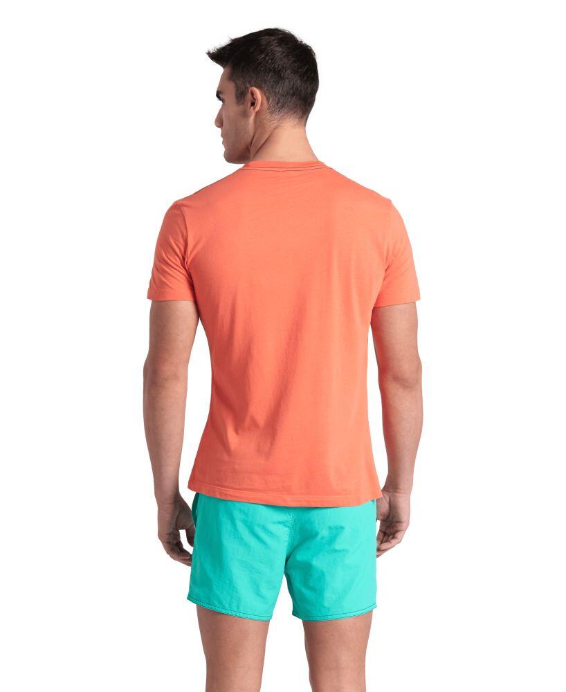 Koszulka męska T-shirt bawełniany sportowy na trening Arena Solid 2/5