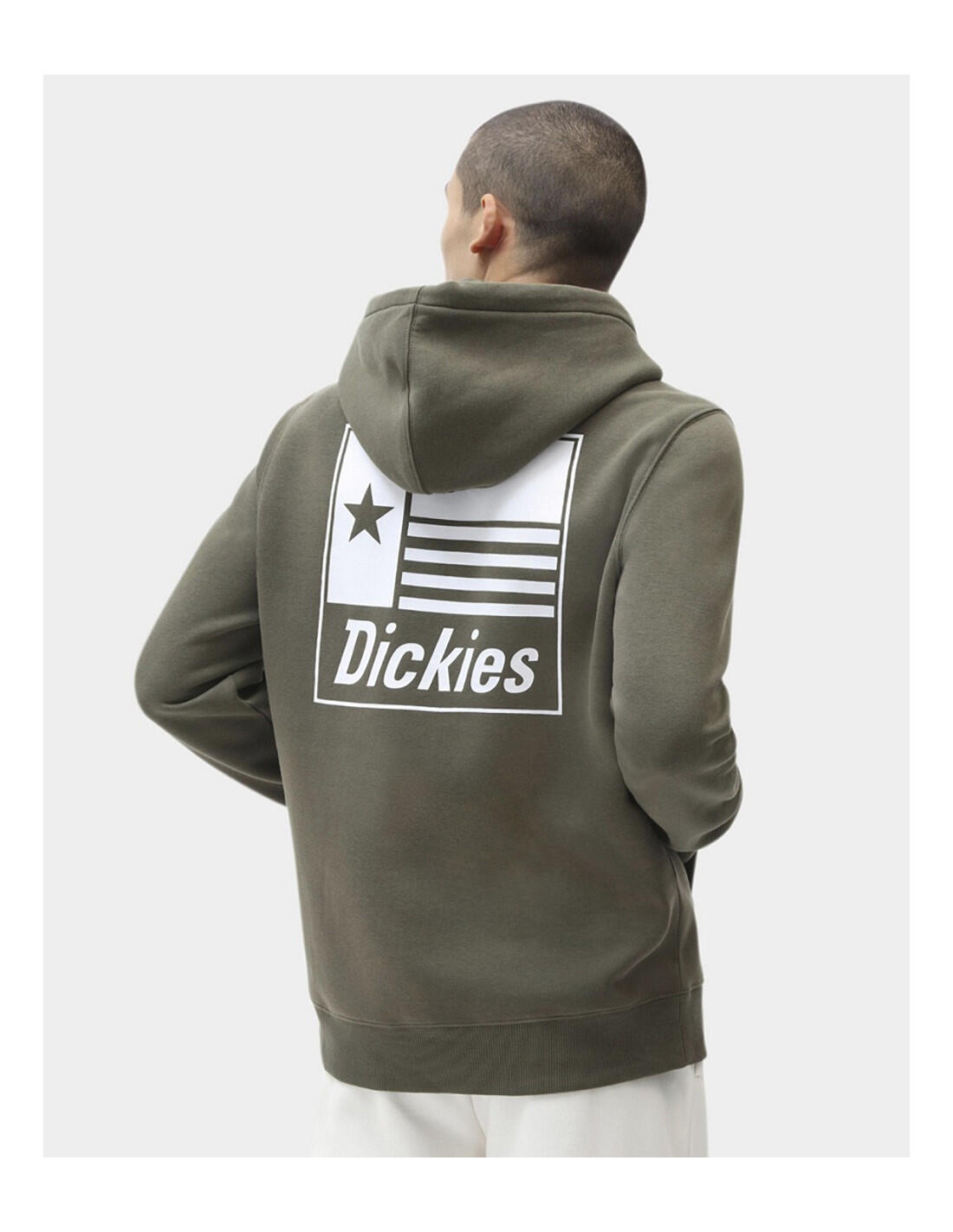 Sweat-shirt DICKIES Taylor 3/5