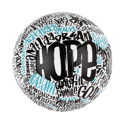 Pallone da calcio Rebond Denis Meyer