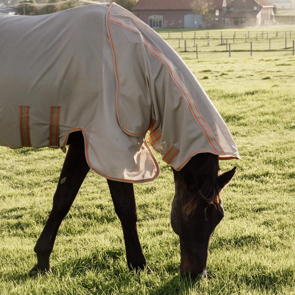 Manta de Mosca de Cavalo Kentucky Horsewear Comfort 250g 3/5