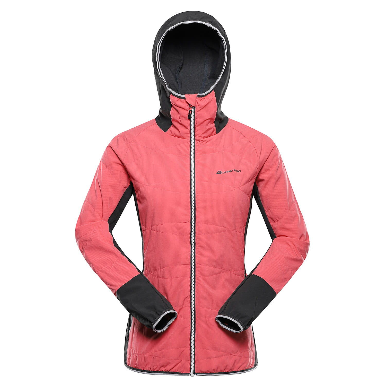 ALPINE PRO picture