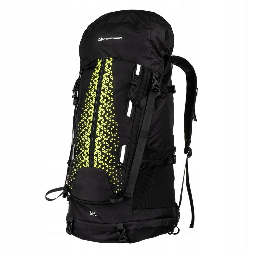 ALPINE PRO picture